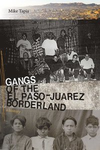 bokomslag Gangs of the El Paso-Juarez Borderland
