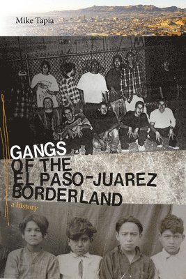 bokomslag Gangs of the El Paso-Juarez Borderland