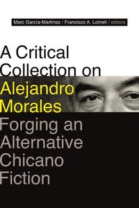 bokomslag A Critical Collection on Alejandro Morales
