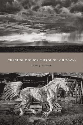 bokomslag Chasing Dichos through Chimay