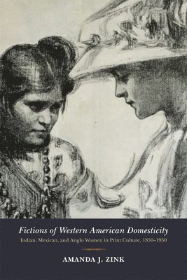 Fictions of Western American Domesticity 1
