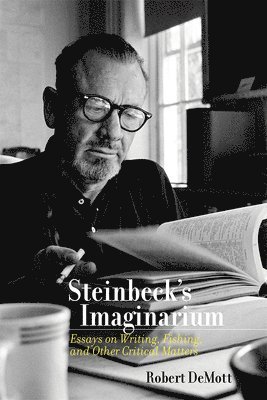 Steinbeck's Imaginarium 1
