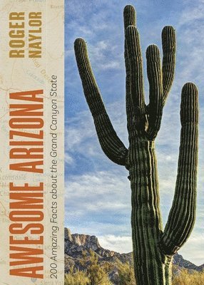 Awesome Arizona