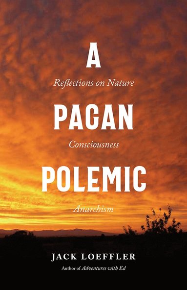 bokomslag Pagan Polemic