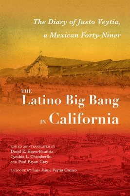 bokomslag The Latino Big Bang in California