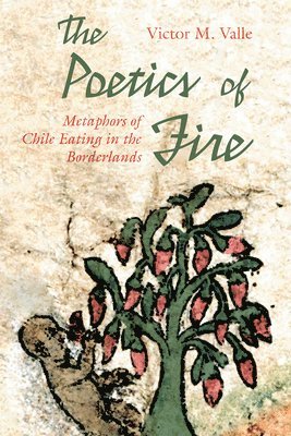 bokomslag Poetics of Fire