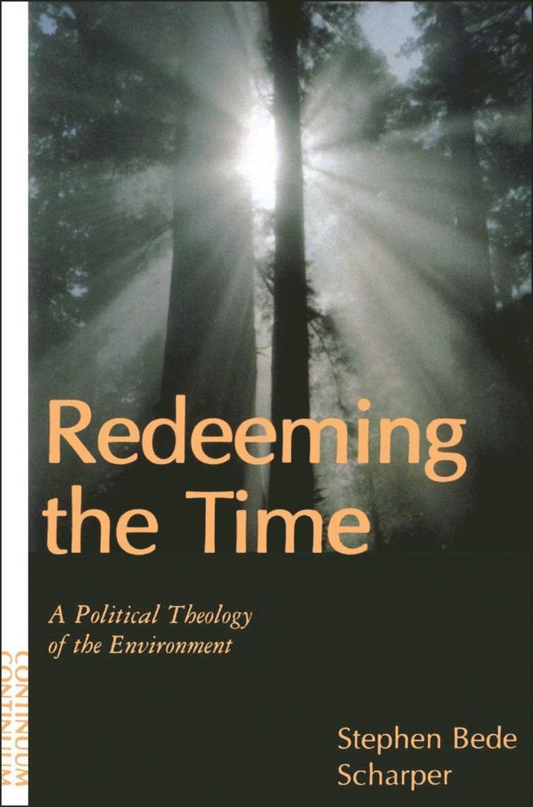 Stephen Bede Scharper - Redeeming the Time, Häftad