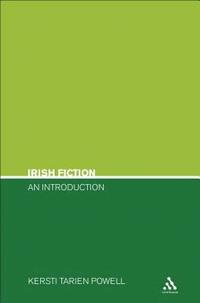 bokomslag Irish Fiction