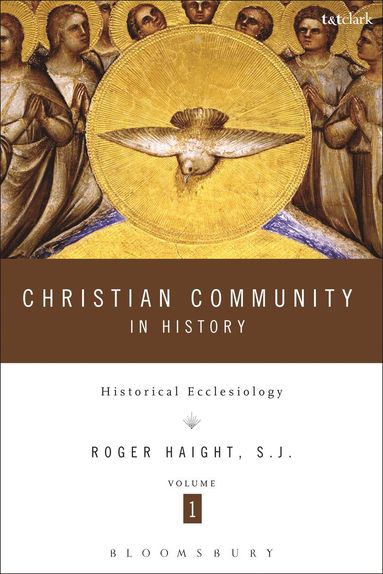 bokomslag Christian Community in History Volume 1