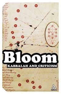 bokomslag Kabbalah and Criticism