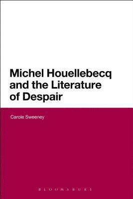 bokomslag Michel Houellebecq and the Literature of Despair