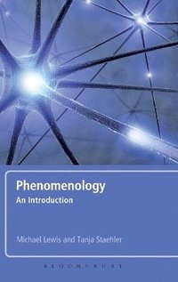 bokomslag Phenomenology