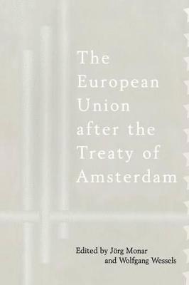 bokomslag European Union after the Treaty of Amsterdam