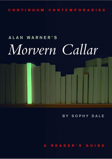 bokomslag Alan Warner's Morvern Callar