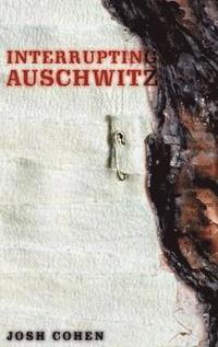 bokomslag Interrupting Auschwitz
