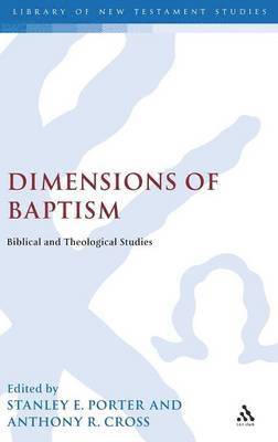 bokomslag Dimensions of Baptism