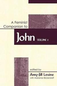 bokomslag Feminist Companion to John