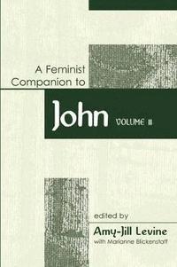 bokomslag Feminist Companion to John