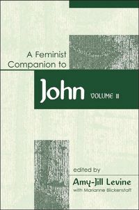 bokomslag Feminist Companion to John