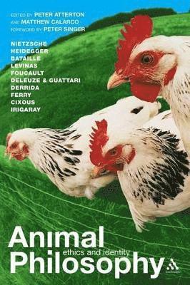 bokomslag Animal Philosophy