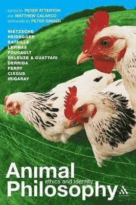 Peter Atterton, Matthew Calarco, Matthew Calarco, Peter Atterton - Animal Philosophy, Häftad