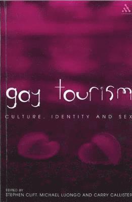 bokomslag Gay Tourism