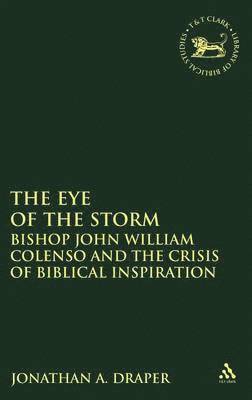 bokomslag Eye of the Storm