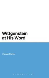 bokomslag Wittgenstein at His Word