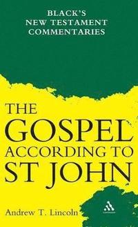 bokomslag Gospel According to St John