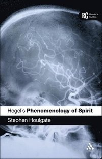 bokomslag Hegel's 'Phenomenology of Spirit'
