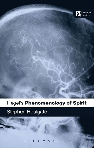 bokomslag Hegel's 'Phenomenology of Spirit'