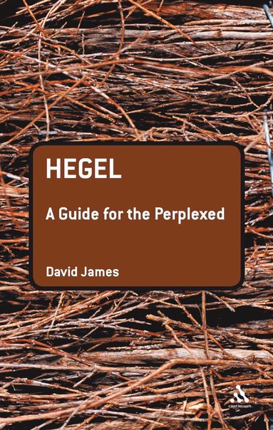 bokomslag Hegel: A Guide for the Perplexed