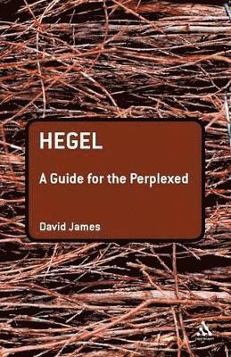 David James - Hegel: A Guide for the Perplexed, Häftad