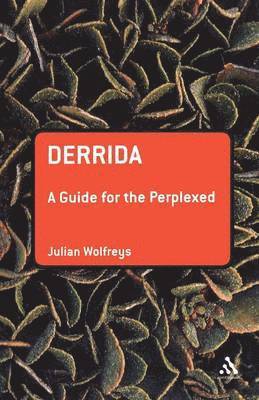 Derrida: A Guide for the Perplexed 1