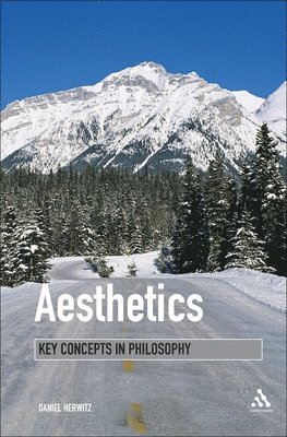 Daniel Herwitz, Lukas Erne - Aesthetics: Key Concepts in Philosophy, Inbunden