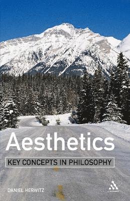 Daniel Herwitz - Aesthetics: Key Concepts in Philosophy, Häftad