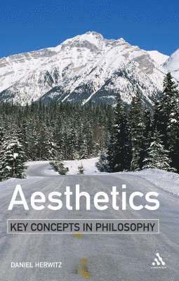 bokomslag Aesthetics: Key Concepts in Philosophy