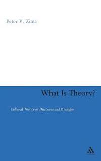bokomslag What is Theory?