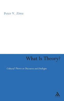 bokomslag What is Theory?