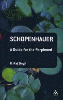 Schopenhauer: A Guide for the Perplexed
