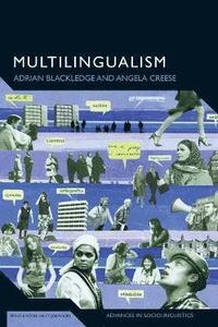 bokomslag Multilingualism