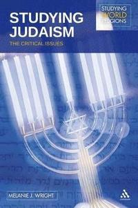 bokomslag Studying Judaism