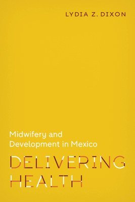 bokomslag Delivering Health: Midwifery and Development in Mexico
