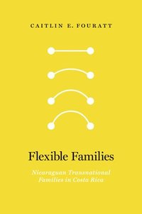 bokomslag Flexible Families