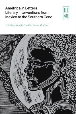 bokomslag Améfrica in Letters: Literary Interventions from Mexico to the Southern Cone