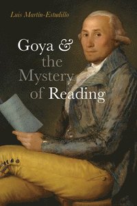 bokomslag Goya and the Mystery of Reading
