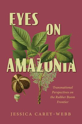 bokomslag Eyes on Amazonia: Transnational Perspectives on the Rubber Boom Frontier