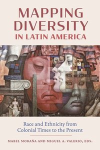 bokomslag Mapping Diversity in Latin America