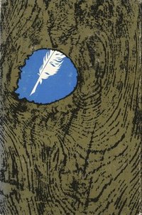 bokomslag The True Country: Themes in the Fiction of Flannery O'Connor