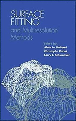 Alain Le Mehaute, Christophe Rabut, Larry L. Schumaker - Surface Fitting and Multiresolution Methods Vol 2, Inbunden